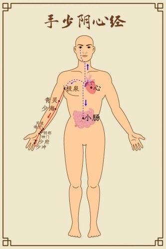 手少陰心經 手少陰心經