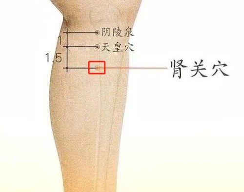 腎關穴位置 腎關穴位置