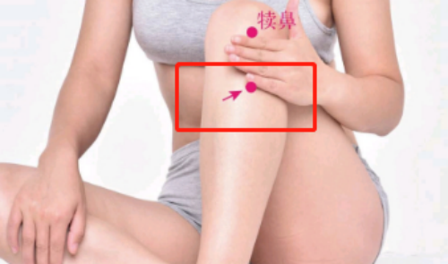 足三里穴位置 足三里穴位置