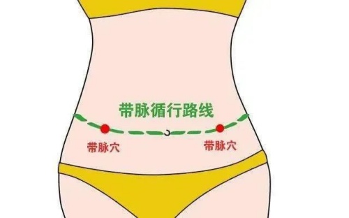 帶脈循行路線 帶脈循行路線