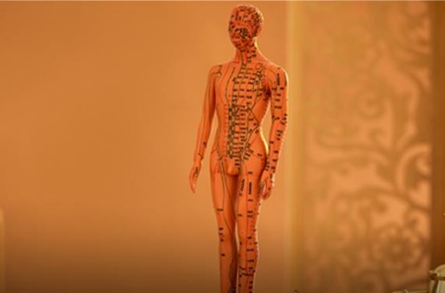 人體經絡圖 人體經絡圖