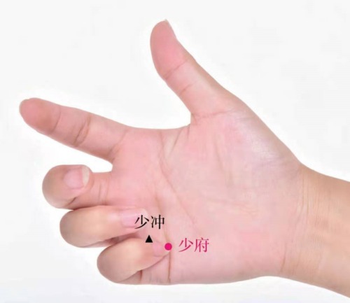 少府穴位置 少府穴位置