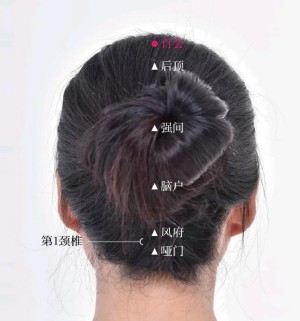 大腦穴位圖 大腦穴位圖