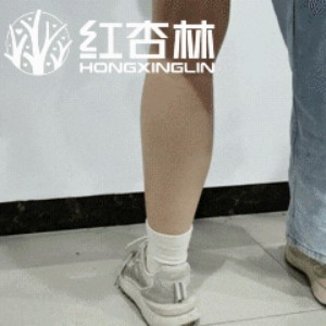 紅杏林老師 紅杏林老師