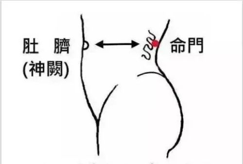 命門穴位置 命門穴位置
