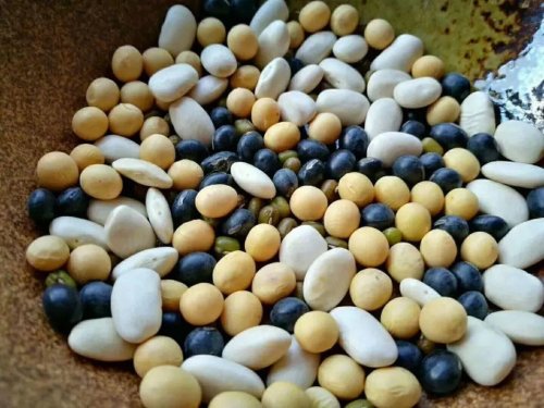 四豆飲原材料 四豆飲原材料