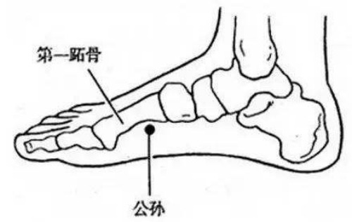 公孫穴位置 公孫穴位置
