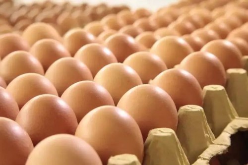 雞蛋 雞蛋
