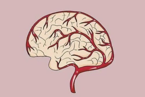 大腦 大腦