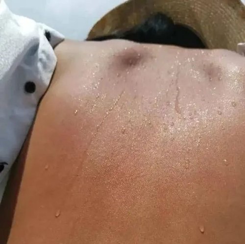 吸收太陽的能量補充自己的“元陽” 吸收太陽的能量補充自己的“元陽”