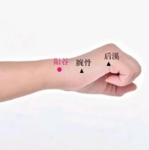 陽谷穴位置 陽谷穴位置