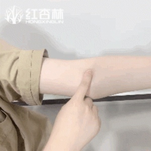 紅杏林老師動作演示 紅杏林老師動作演示