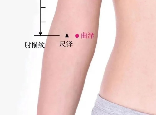尺澤穴和曲澤穴位置 尺澤穴和曲澤穴位置