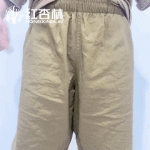 紅杏林老師動作演示 紅杏林老師動作演示