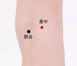 委中穴和陰谷穴 委中穴和陰谷穴