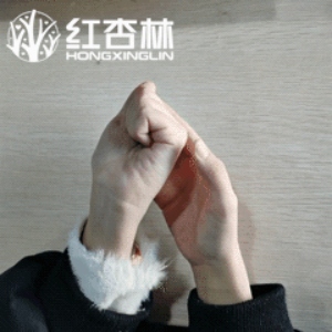 紅杏林中醫動作演示