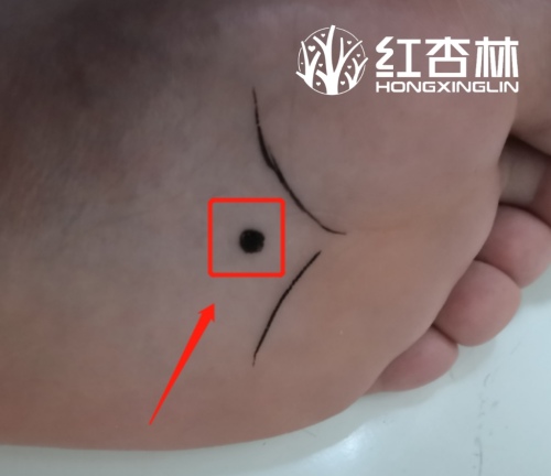 腳底肝部反射區