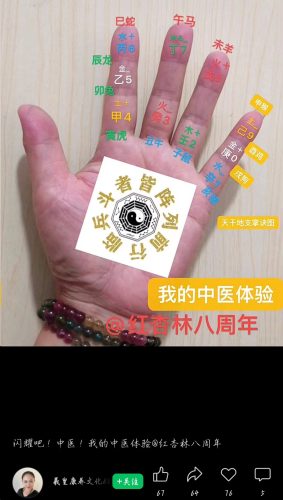 紅杏林學員成果展示 紅杏林學員成果展示