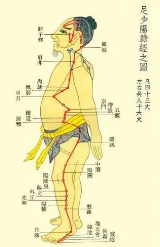 足少陽膽經 足少陽膽經