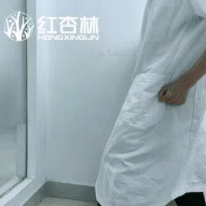 紅杏林老師動作演示 紅杏林老師動作演示