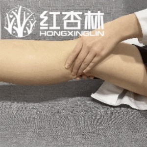 紅杏林老師動作演示 紅杏林老師動作演示