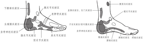 腳踝處的反射區 腳踝處的反射區