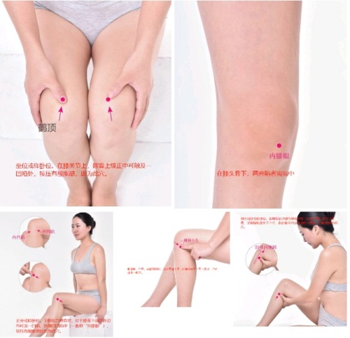 膝五穴位置