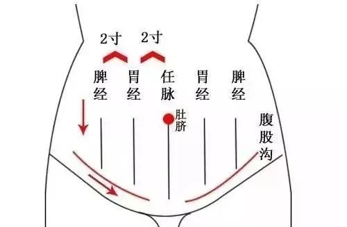腹部的6條經絡 腹部的6條經絡