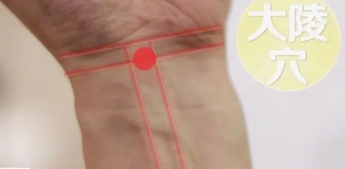 大陵穴位置 大陵穴位置