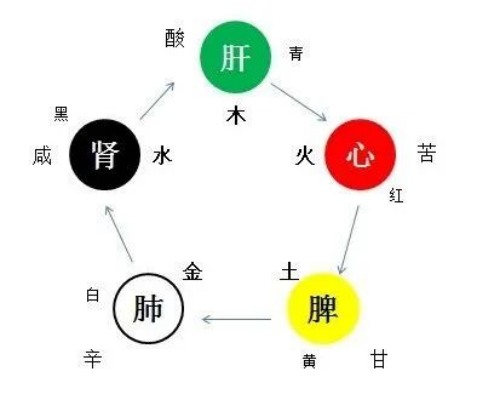 五行與五臟的關系 五行與五臟的關系