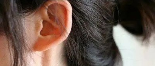 耳朵 耳朵