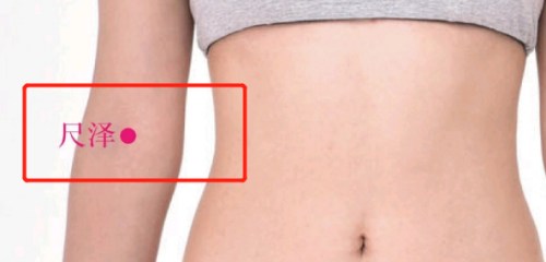 尺澤穴位置 尺澤穴位置