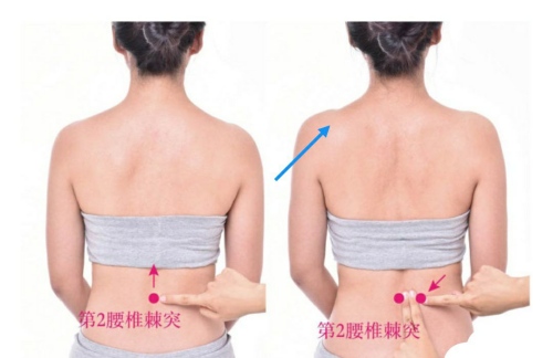 腎俞穴位置 腎俞穴位置