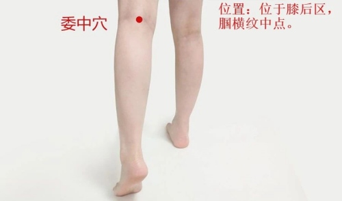委中穴位置 委中穴位置