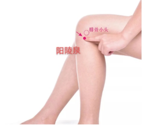 陽陵泉穴位置 陽陵泉穴位置
