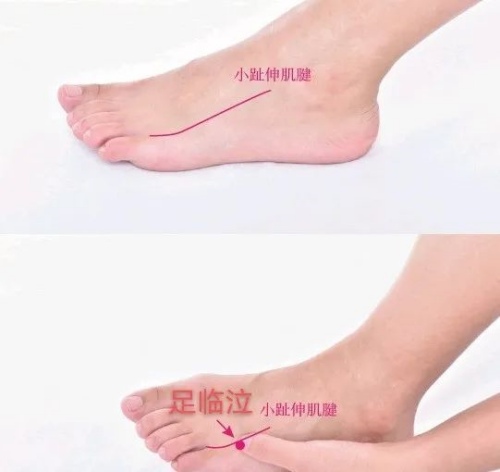 足臨泣穴位置 足臨泣穴位置