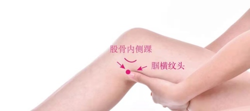 曲泉穴位置 曲泉穴位置