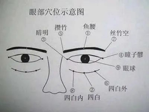 眼部穴位示意圖 眼部穴位示意圖