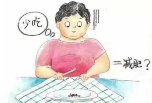 節食減肥 節食減肥